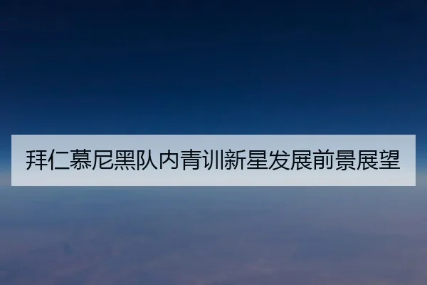 拜仁慕尼黑队内青训新星发展前景展望